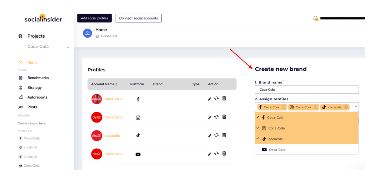 This screenshot from Socialinsider's dashboard shows to track a social media campaign across multiple channels.