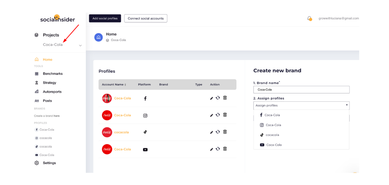 This is screenshot from the Socialinsider dashboard explaining how to track a social media campaign's KPIs.