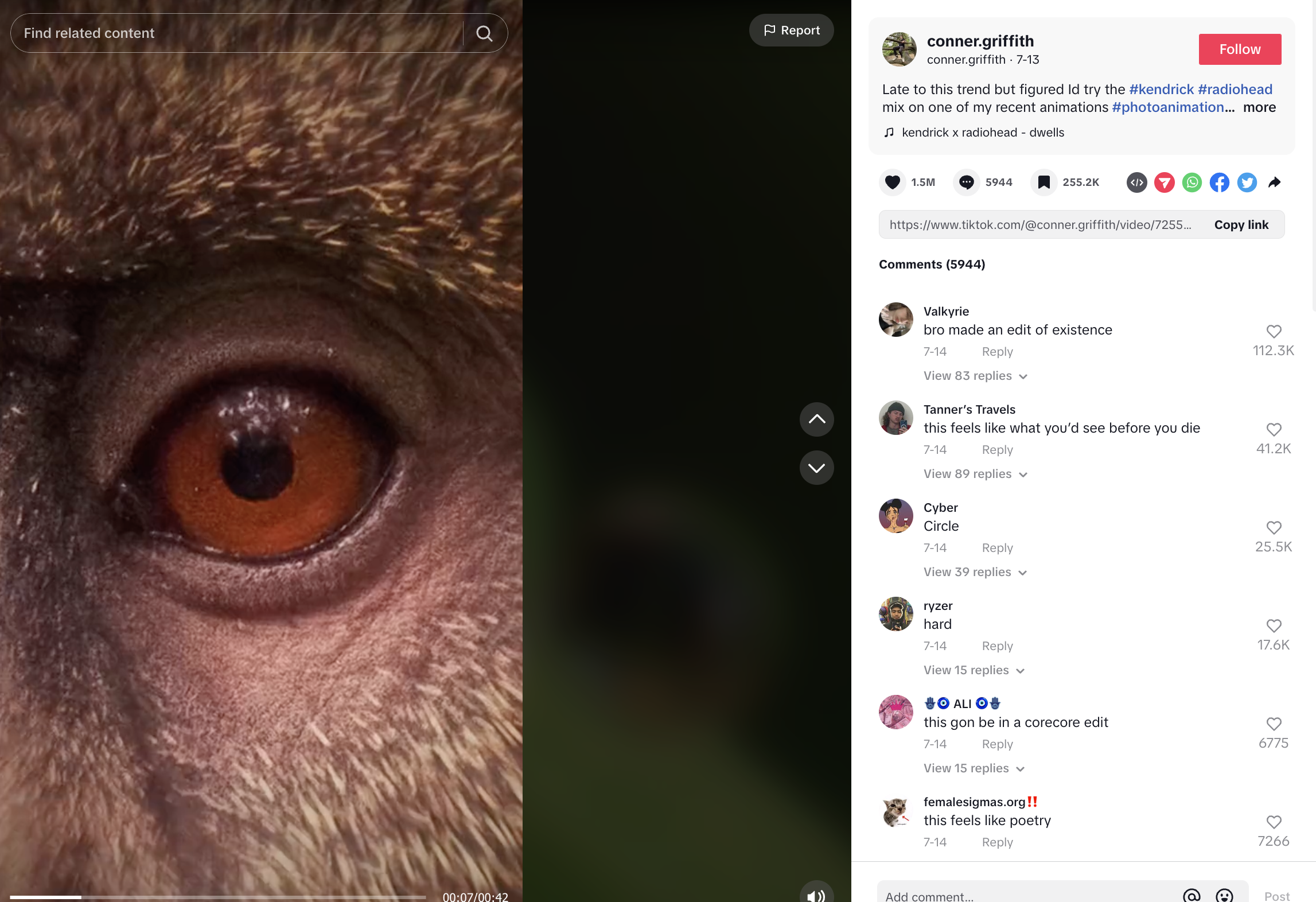 screenshot from a tiktok video showing a close-up of a monkey's eye