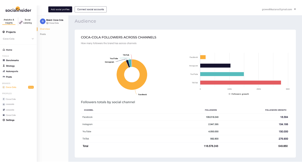 social media audience