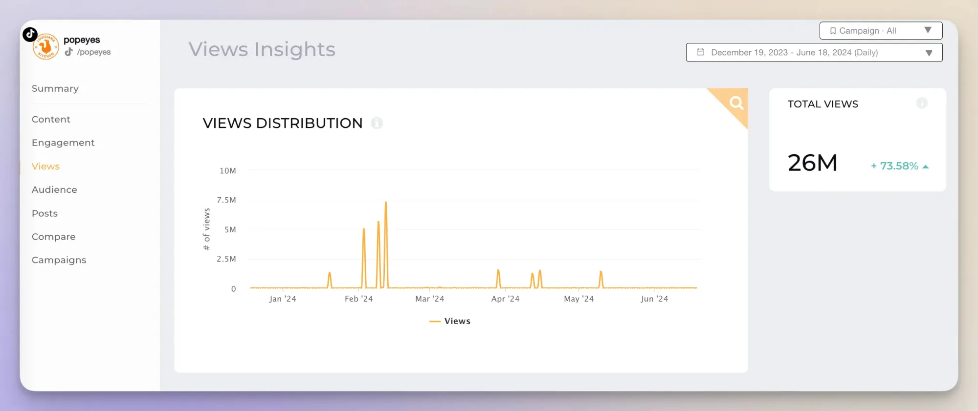 tiktok views audit