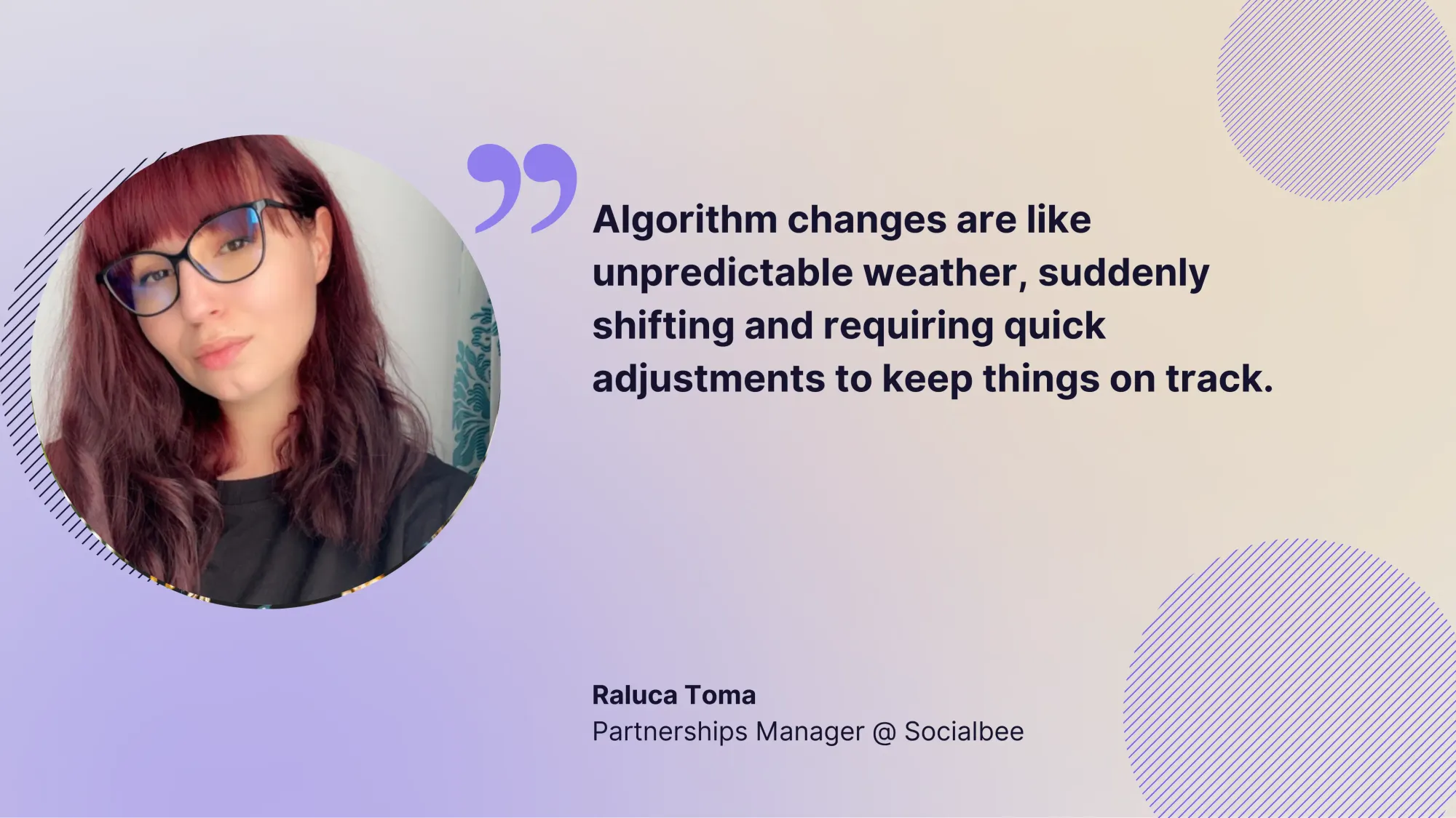 algorithm updates