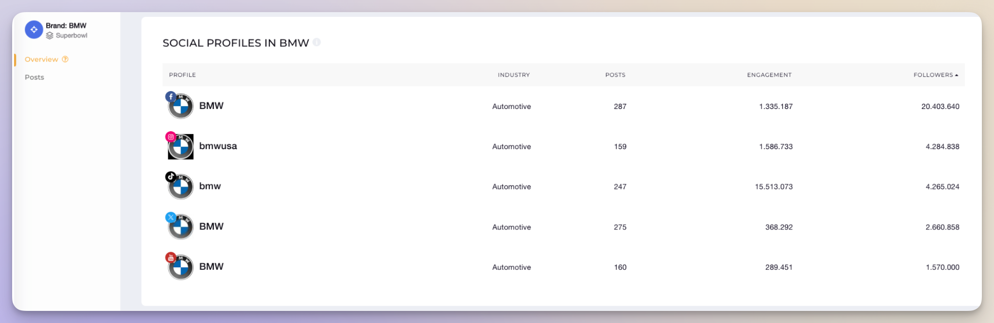 social media audit bmw example