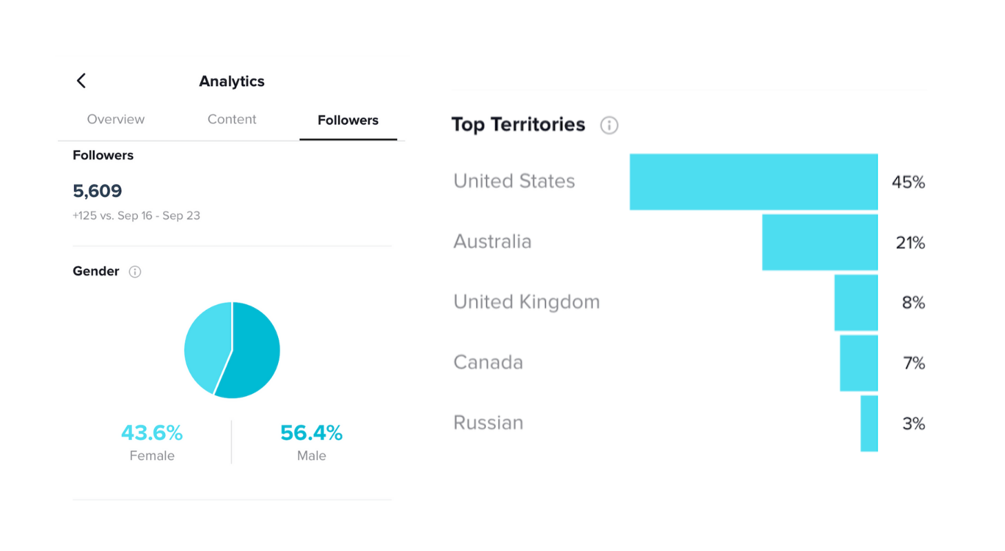 TikTok Analytics -  What Are the TikTok Metrics Marketers Need to Know?